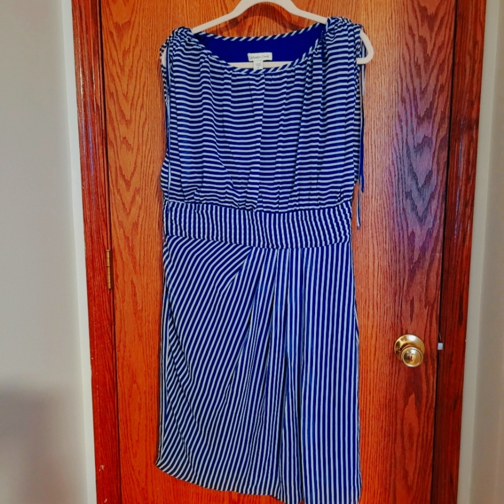 NWT / COLDWATER CREEK DRESS
